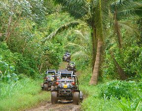 ME 006 - COCONUT TOUR