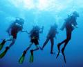 STAR 102  - SCUBA DIVING TOUR